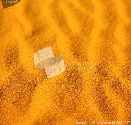 Image of africa the brown sand dune in   sahara morocco desert line