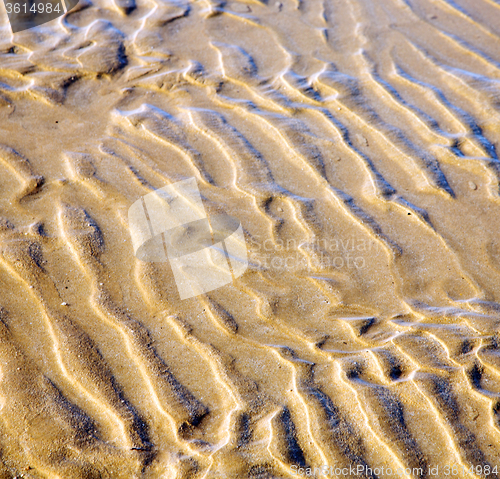 Image of dune morocco in africa brown coastline wet sand beach near atlan