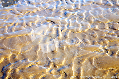 Image of dune morocco africa   wet sand beach   ocean