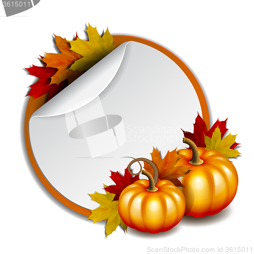 Image of Thanksgiving card with pumpkins