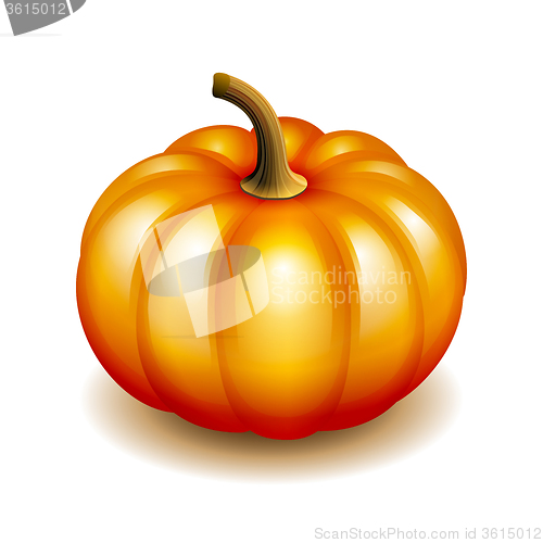 Image of Orange autumn pumpkin icon