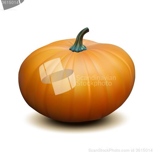 Image of Orange realistic pumpkin