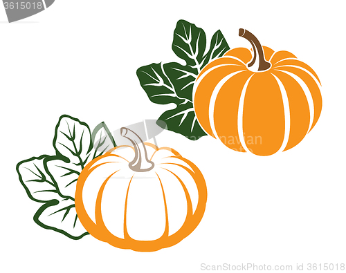 Image of Pumpkins with leaves. 
