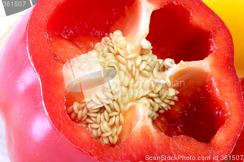 Image of Closeup Pepper