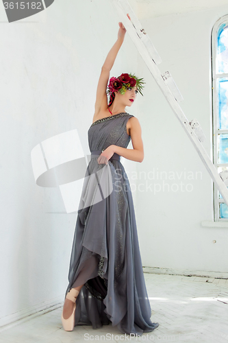 Image of The beautiful ballerina posing in long gray dress 