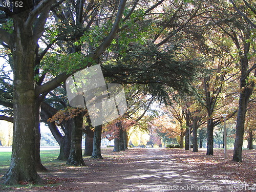 Image of shading road