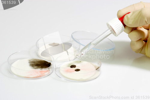 Image of Pipette