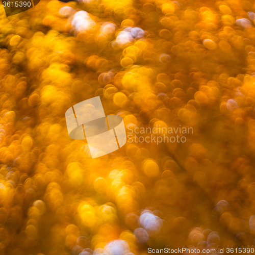 Image of Autumn abstract background