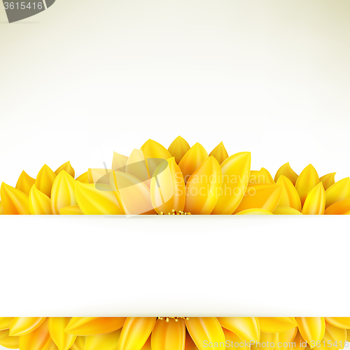 Image of Sunflower on white background. EPS 10