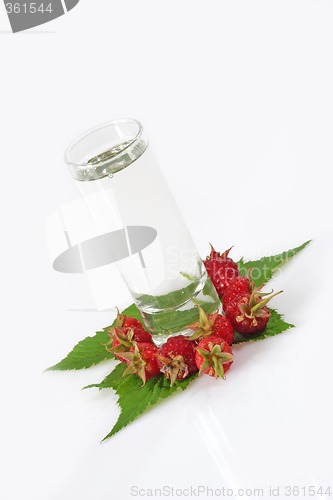 Image of Raspberry Booze