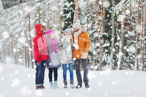 Image of group of smiling men and women in winter forest