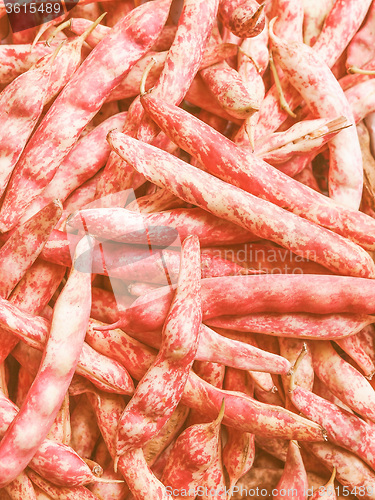 Image of Retro looking Cranberry beans