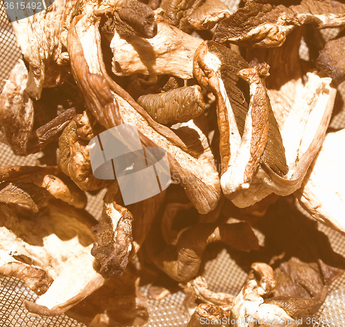 Image of Retro looking Mushrooms