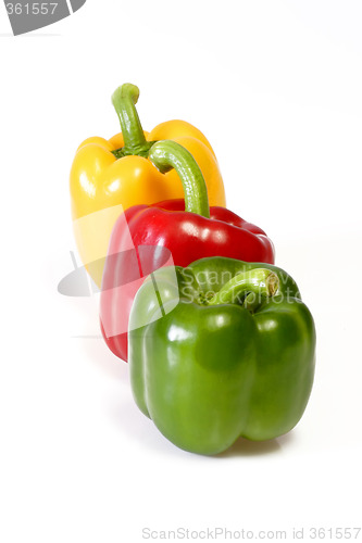 Image of Vegetable