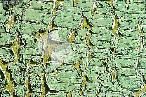 Image of Old green tree bark texture closeup