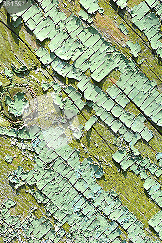 Image of old wood tree bark texture with green moss