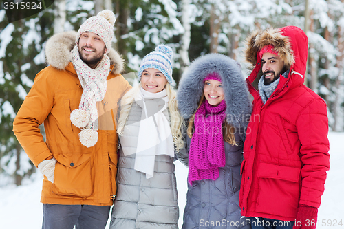 Image of group of smiling men and women in winter forest