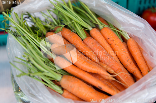Image of close up of carrot in plastic bag at street market