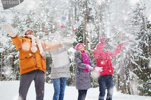 Image of group of smiling men and women in winter forest