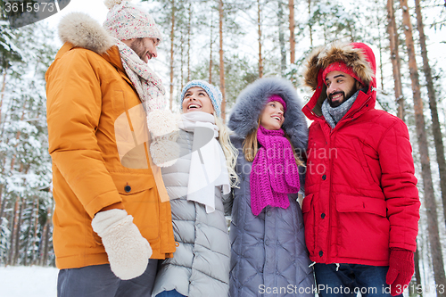 Image of group of smiling men and women in winter forest