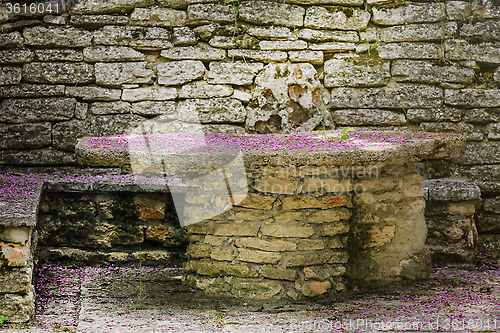 Image of Table in the Garden
