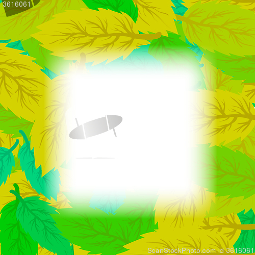 Image of Autumn Leaves Background.