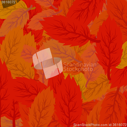 Image of Autumn Leaves Background.