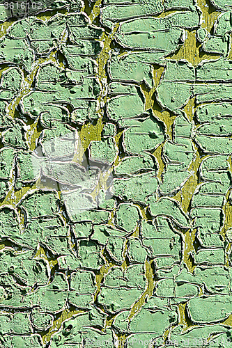 Image of Old green tree bark texture closeup