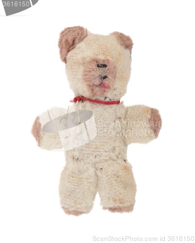 Image of Teddy bear isolated on white background