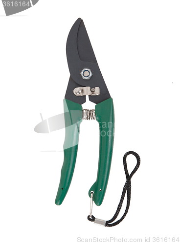 Image of Gardening shears on white background