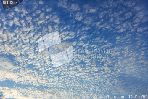 Image of Altocumulus clouds on whole sky