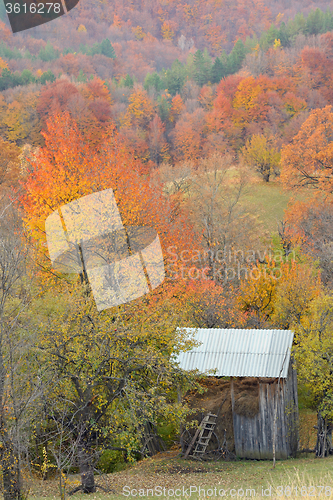 Image of Country barn 