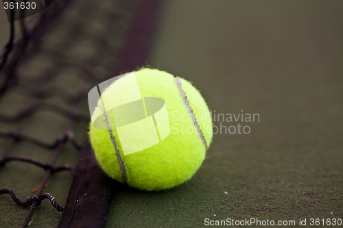 Image of Tennis