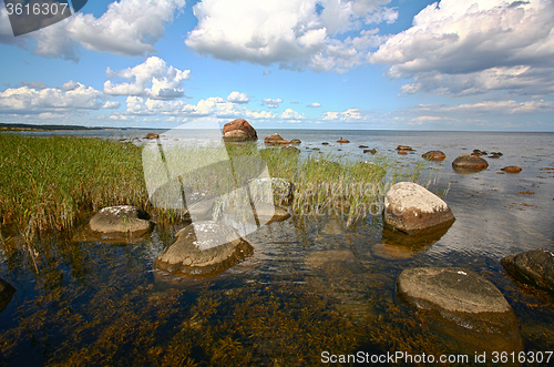 Image of Coastal Sweden
