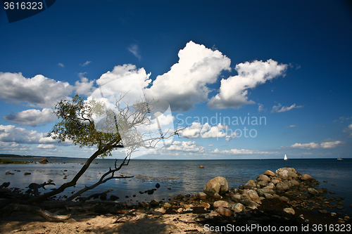 Image of Coastal Sweden