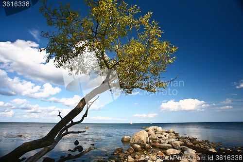 Image of Coastal Sweden