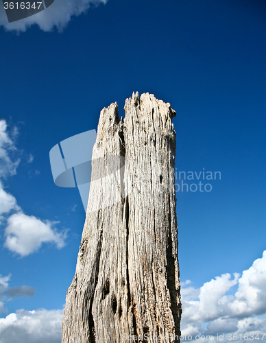 Image of Coastal Sweden