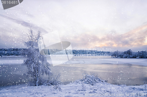 Image of Winter landscape with lake and tree in the frost with falling sn