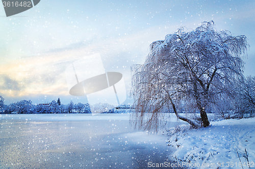 Image of Winter landscape with lake and tree in the frost with falling sn