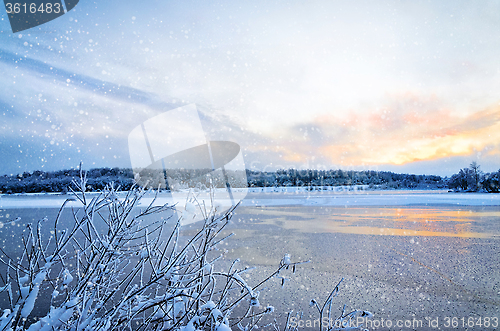 Image of Winter landscape with lake and trees covered with frost