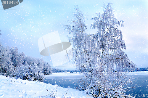 Image of Winter landscape with trees, covered with hoarfrost and lake vie