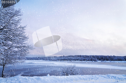 Image of Winter landscape with lake and trees covered with frost