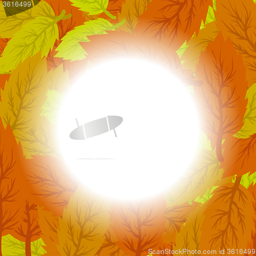 Image of Autumn Leaves Background.