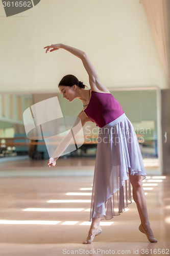 Image of classic ballet dancer posing at barre on rehearsal room background