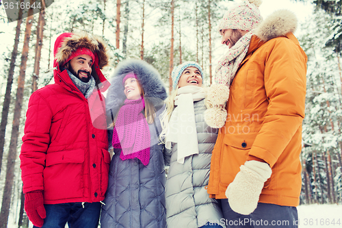 Image of group of smiling men and women in winter forest