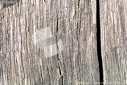 Image of Wood plank texture, background