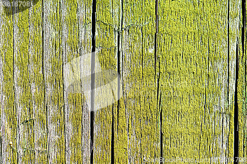 Image of Surface of an empty green wooden background.