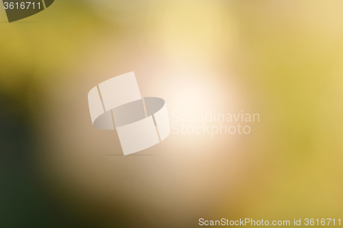 Image of abstract background with bokeh defocused lights and shadow