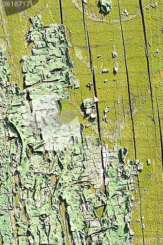 Image of old oak tree bark texture