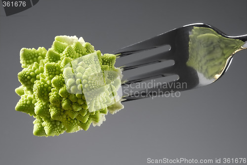 Image of Romanesco